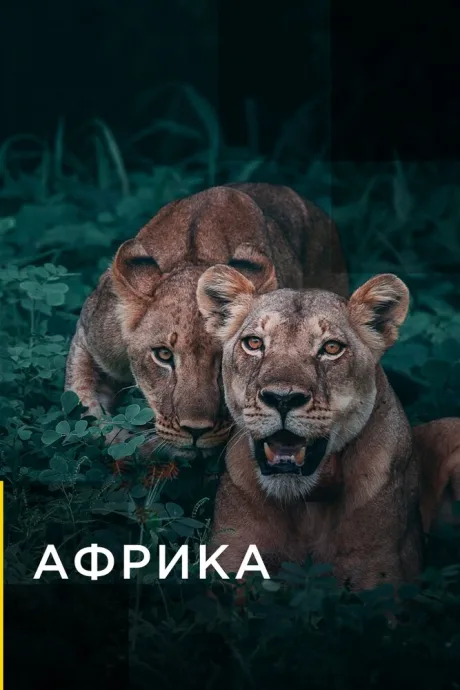 Африка