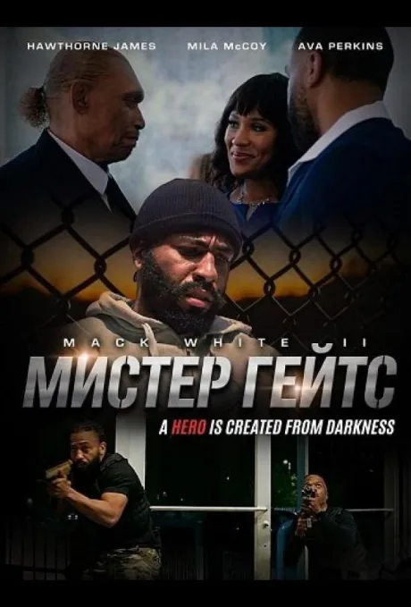 Мистер Гейтс